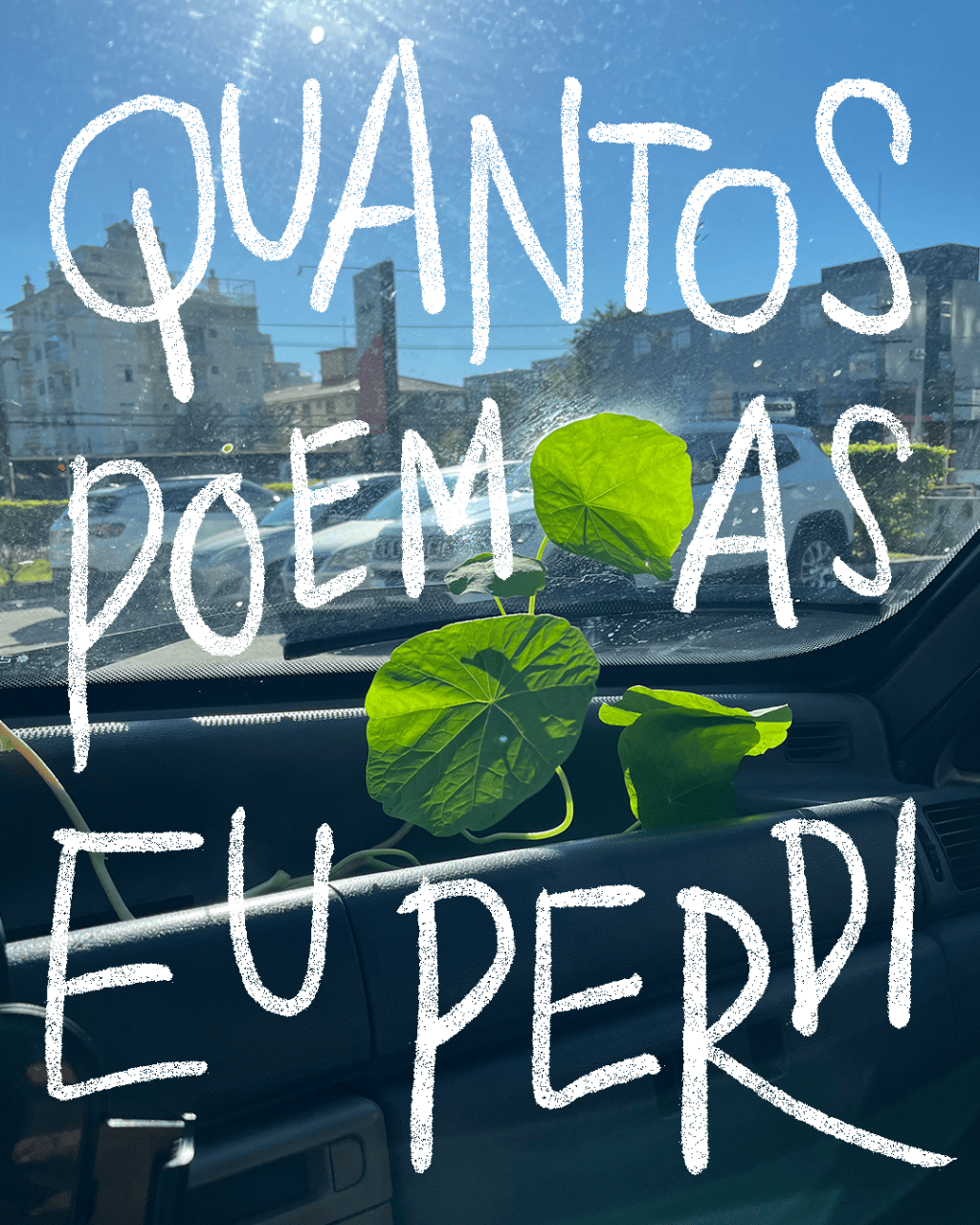 Quantos poemas eu&nbsp;perdi